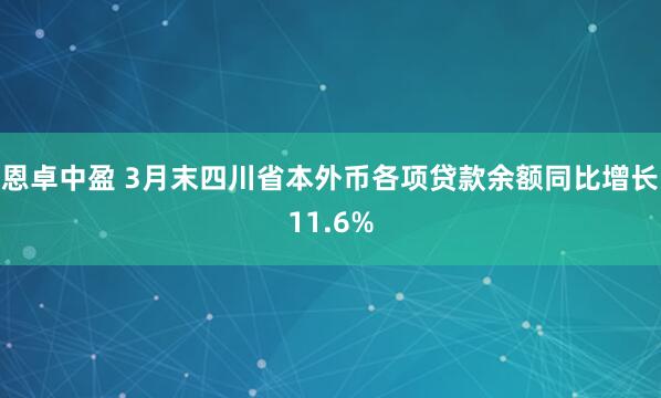恩卓中盈 3月末四川省本外币各项贷款余额同比增长11.6%