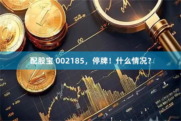 配股宝 002185，停牌！什么情况？