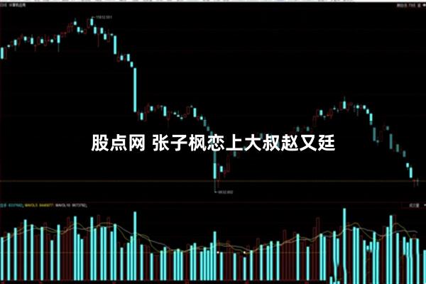 股点网 张子枫恋上大叔赵又廷