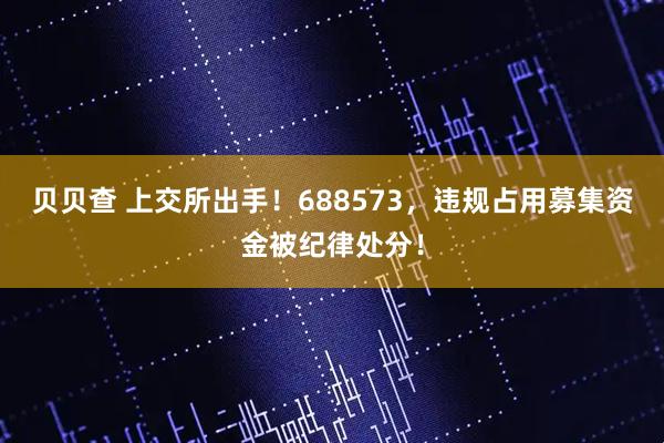 贝贝查 上交所出手！688573，违规占用募集资金被纪律处分！
