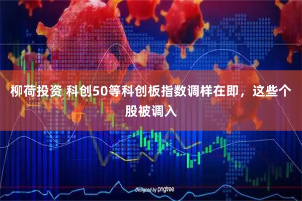 柳荷投资 科创50等科创板指数调样在即，这些个股被调入